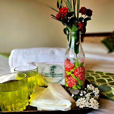 Shrīrangapattana Coco Paradise Homestay מראה חיצוני תמונה